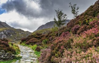 Walking In Snowdonia for Singles