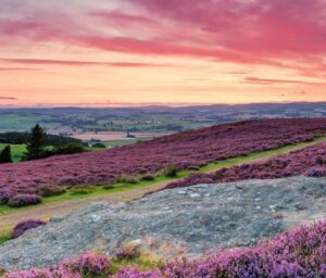 Northumberland Walking Holiday for Solos