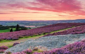 Northumberland Walking Holiday for Solos