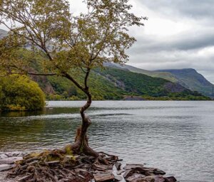 Walking In Snowdonia for Singles