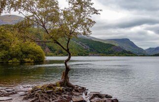 Walking In Snowdonia for Singles