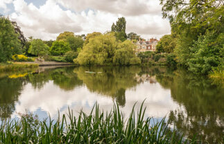 New Year In Oxford for Singles