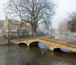 New Year In Cheltenham for Singles