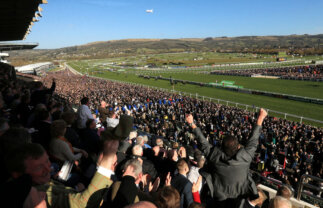 New Year In Cheltenham for Singles