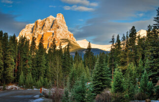 Solos Banff to Vancouver Canada Nature Tour