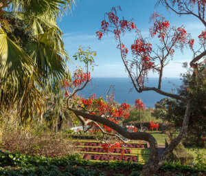 Beautiful Madeira Solos Holiday