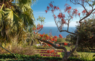 Beautiful Madeira Solos Holiday