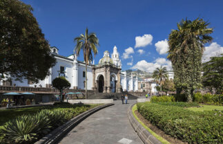 Singles Tour of Ecuador and The Galapagos