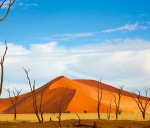 Indigenous Peoples of Namibia with Safari and Dunes for Solos