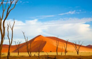 Indigenous Peoples of Namibia with Safari and Dunes for Solos