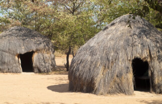 Tour of Botswana and Victoria Falls