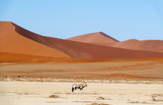 Tour of Namibia to Cape Town