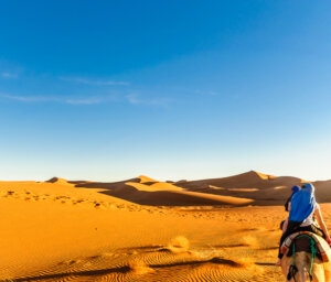 Moroccan Sahara Nature Camping Tour