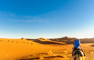 Moroccan Sahara Nature Camping Tour