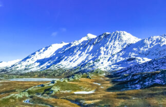 Summer Camping Alaska Hiking Tour