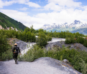 Alaska 14-Day Summer Hiking and Nature Tour