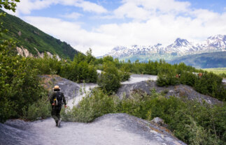 Alaska 14-Day Summer Hiking and Nature Tour