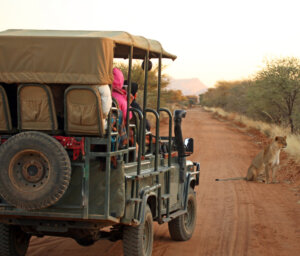 Etosha to Cape Town Scenic Tour