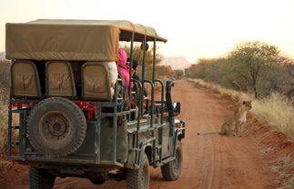 Etosha to Cape Town Scenic Tour