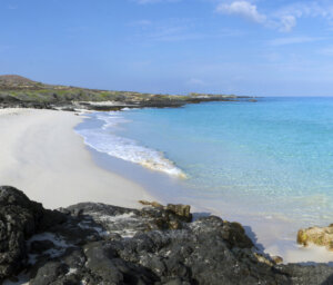 Hawaii Canyon, Volcano Park and Beaches