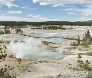 One-Week Yellowstone and Grand Teton National Parks Tour