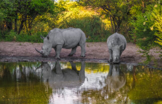 Wilderness and Wildlife of Botswana with Victoria Falls