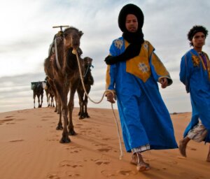 Moroccan Sahara Nature Camping Tour