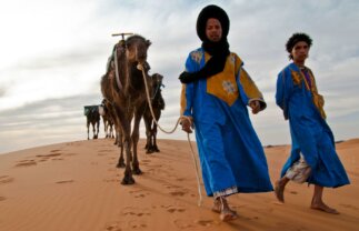 Moroccan Sahara Nature Camping Tour