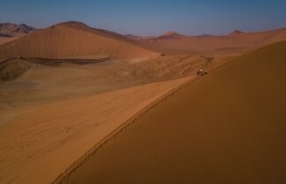 Cape Town, Namib, and Etosha National Park