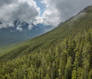 Canadian Rockies and West Coast Camping Tour