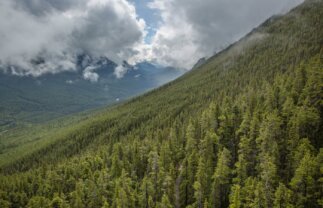 Canadian Rockies and West Coast Camping Tour