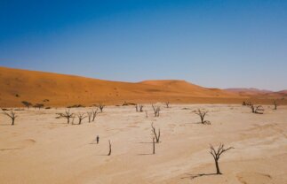 Nature Tour of Namibia and Victoria Falls