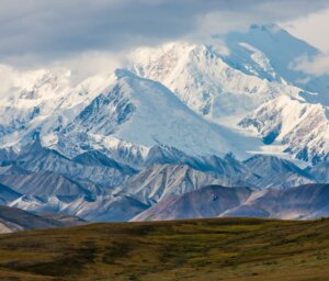 Alaska Nature Tour