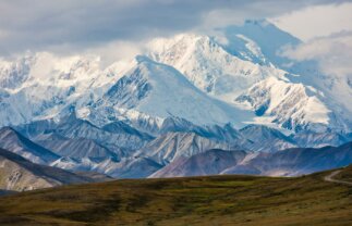 Alaska Nature Tour