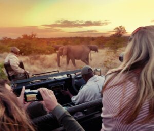 Wildlife Tour of Kruger and Karongwe