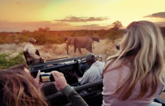 Wildlife Tour of Kruger and Karongwe