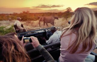 Nature Camping Tour – Nairobi to Johannesburg