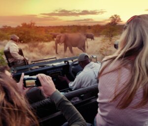 Wildlife Tour of South Africa, Botswana and Zimbabwe