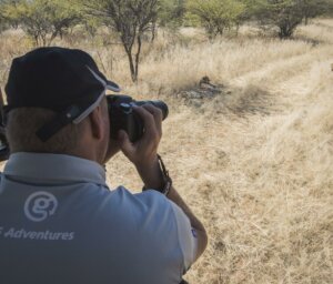 Kruger Safari, Namib Exploration and Victoria Falls Tour