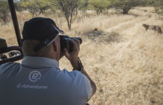 Kruger Safari, Namib Exploration and Victoria Falls Tour