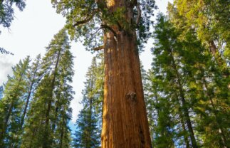 American West National Parks Camping Tour