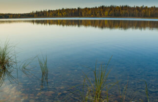 Low-Cost Alaska Summer Walking Tour