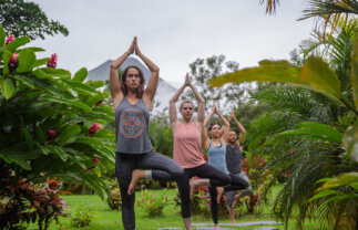 Wellness & Yoga Tour of Costa Rica