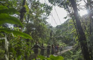Nature & Wildlife Tour of Costa Rica