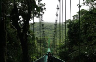 Costa Rica for Young Adults: Volcanoes & Cloud Forests