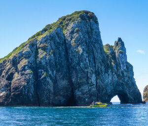 Wilderness and Natural Wonders of New Zealand for Over 50s