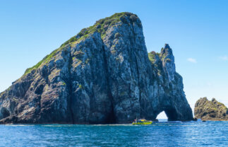 Wilderness and Natural Wonders of New Zealand for Over 50s