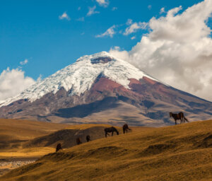 Small Group Tour of the Ecuadorian Andes