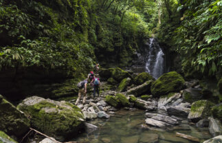 Ecuador Cultural Experience: Local Living in the Amazon