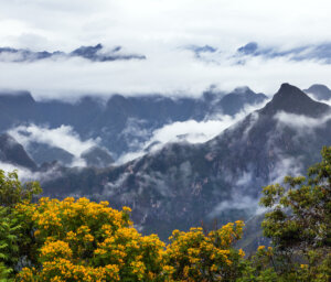 Andes Salkantay Trek with Machu Picchu